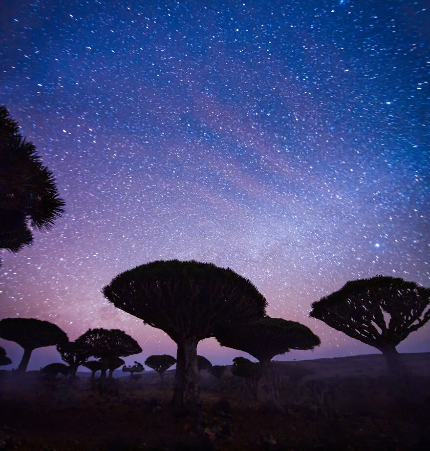 Everything you need to know before traveling to Socotra – A Comprehensive Guide 2025