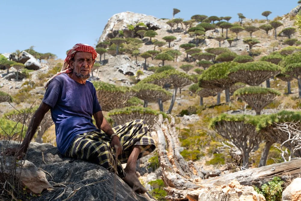 Socotra’s Nomadic Traditions: A Cultural Journey with Showmesocotra